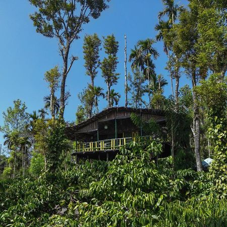 The Mountain Tree Home Wayanad Esterno foto
