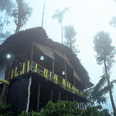 The Mountain Tree Home Wayanad Esterno foto
