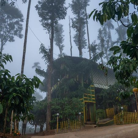 The Mountain Tree Home Wayanad Esterno foto