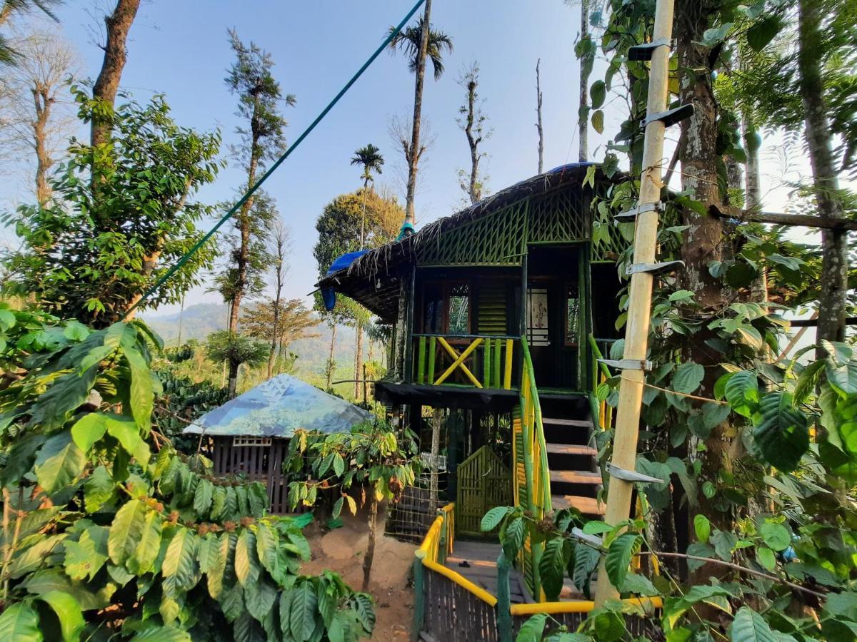 The Mountain Tree Home Wayanad Esterno foto