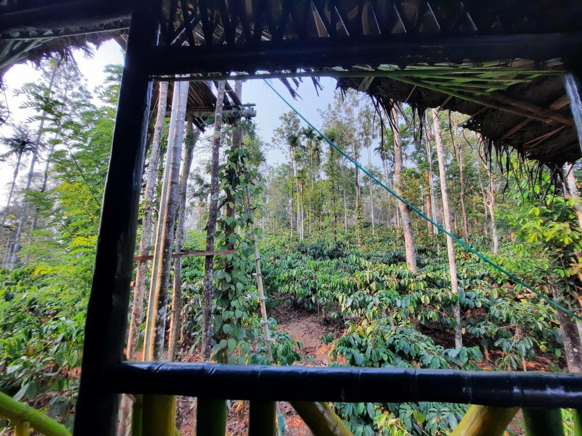 The Mountain Tree Home Wayanad Esterno foto
