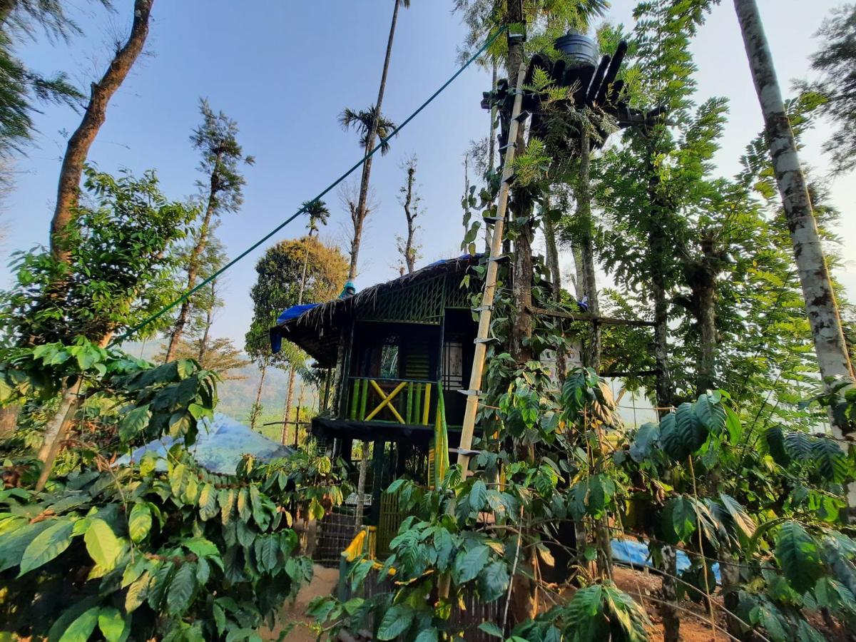 The Mountain Tree Home Wayanad Esterno foto