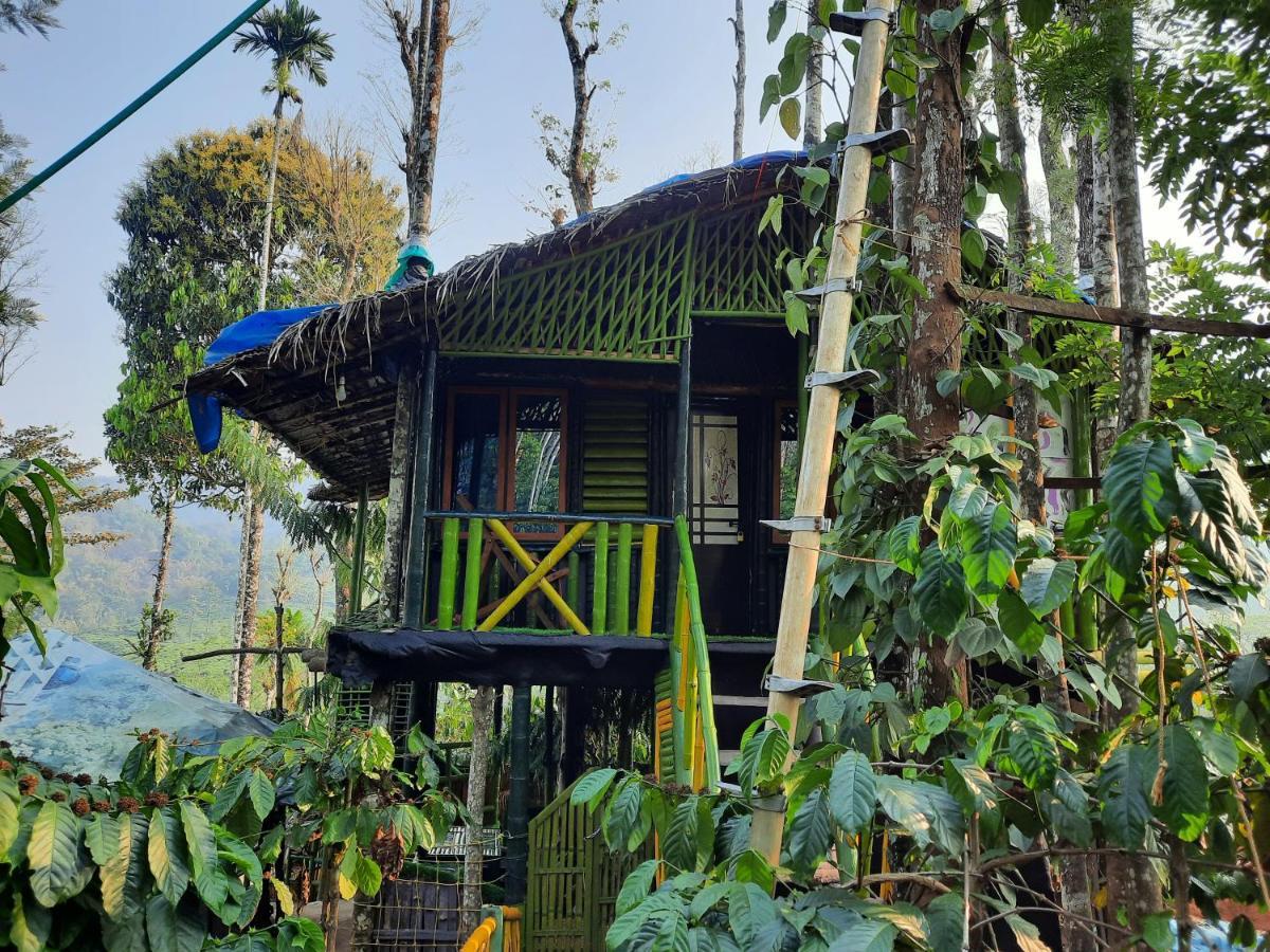 The Mountain Tree Home Wayanad Esterno foto
