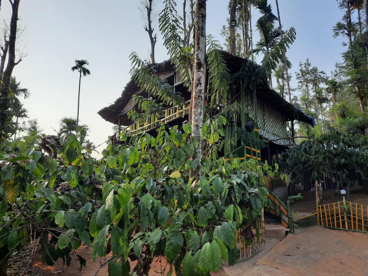 The Mountain Tree Home Wayanad Esterno foto