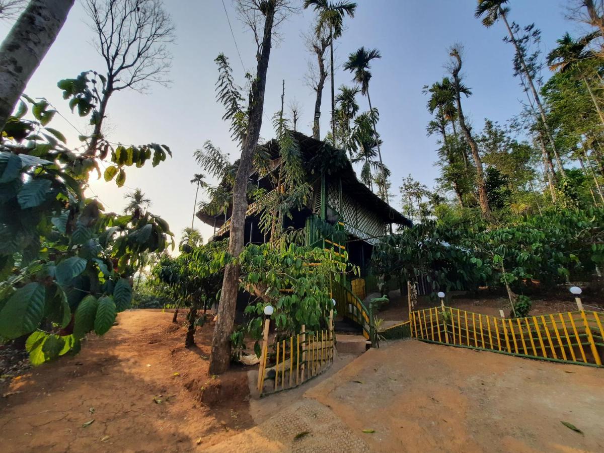 The Mountain Tree Home Wayanad Esterno foto