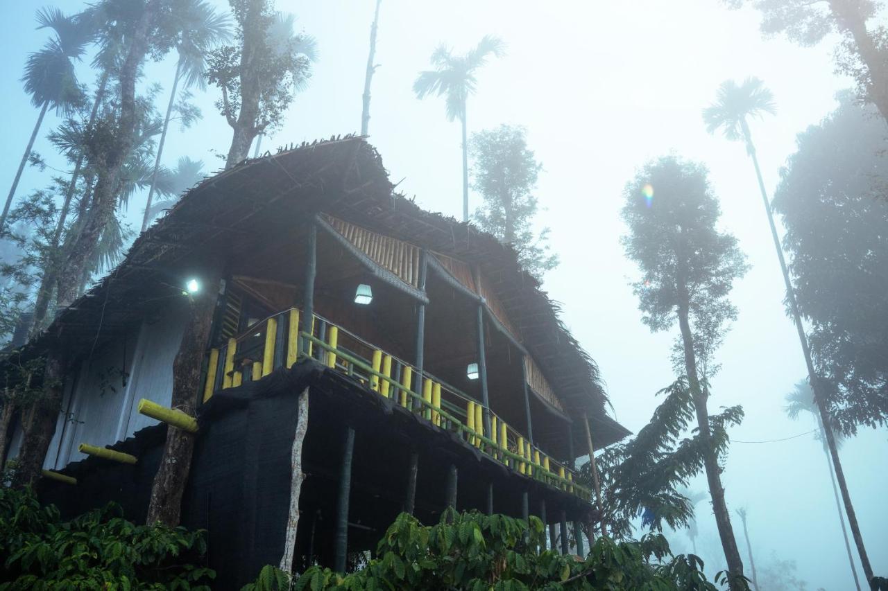 The Mountain Tree Home Wayanad Esterno foto