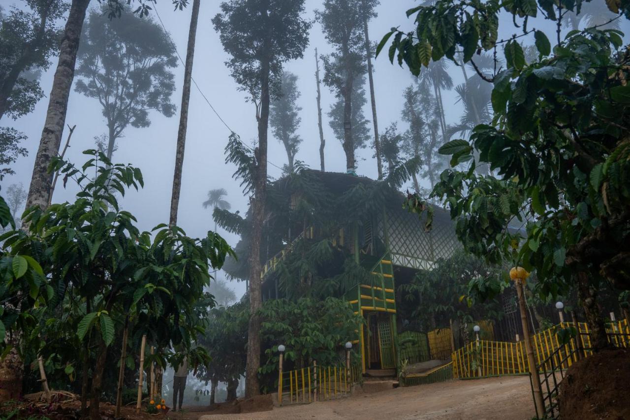 The Mountain Tree Home Wayanad Esterno foto